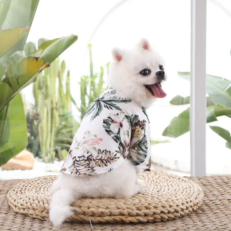 Chien avec notre chemise Hawaïenne blanc cassé