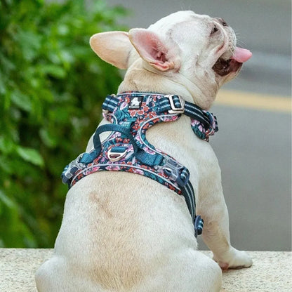 Harnais anti traction pour chien - Edition Floral