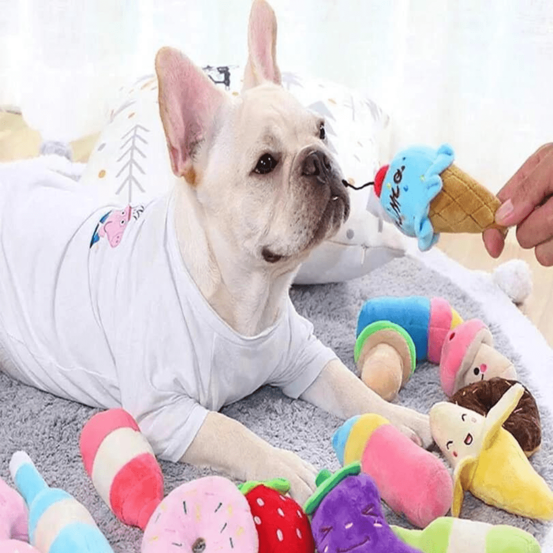 Lot de peluche pour chien