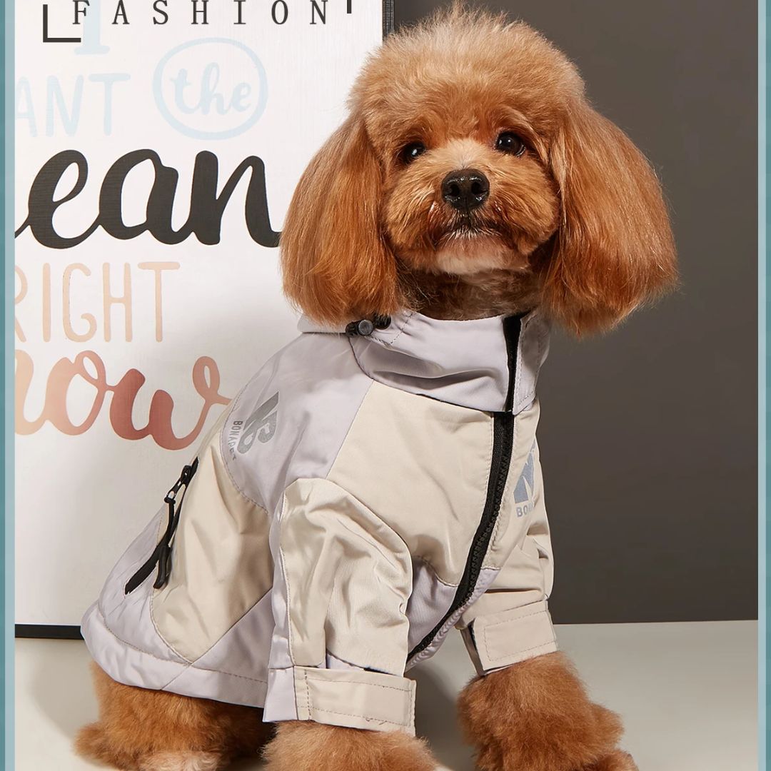 Manteau d'hiver vintage gris pour chien