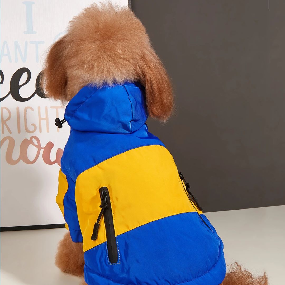 Manteau d'hiver vintage bleu et jaune pour chien