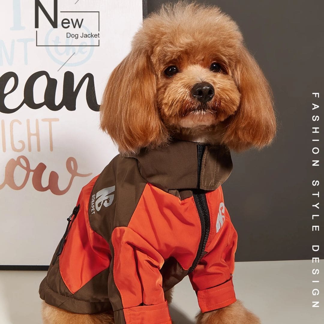 Manteau d'hiver vintage marron pour chien