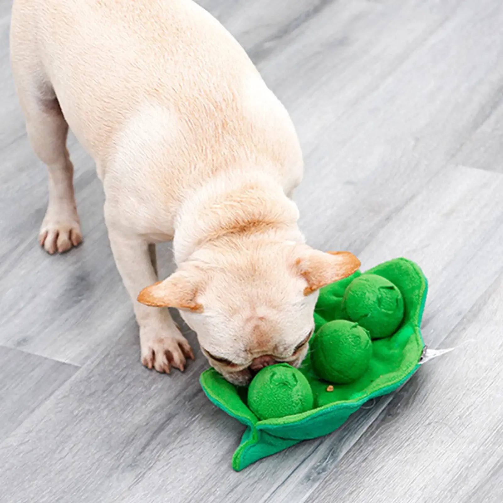 Chien qui joue avec notre Jeu de fouille pour chien en forme de petits poids