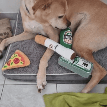 Chien avec notre peluche liasse de billet