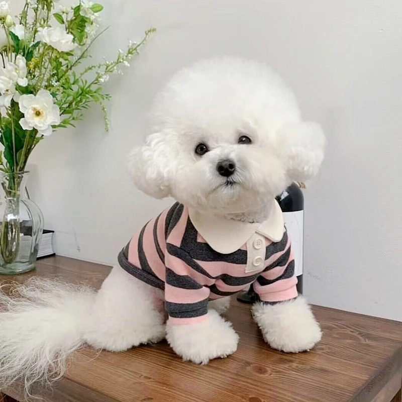 Chien avec notre polo rose Paul™