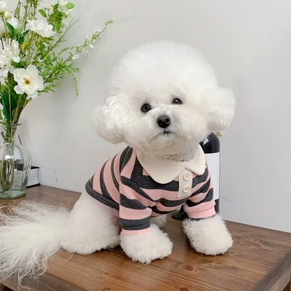 Chien avec notre polo rose Paul™
