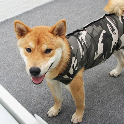 Softy™ porté par un chien