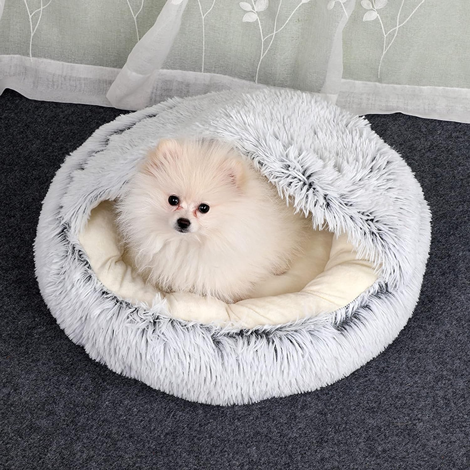 Chien dans notre nid douillet