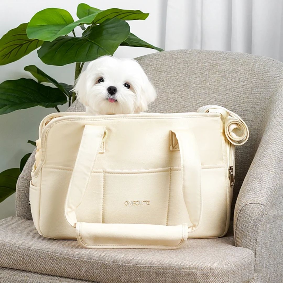 Chien dans notre sac de transport confortable
