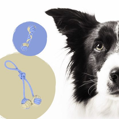 Lot de 8 cordes bleues à mâcher pour chien