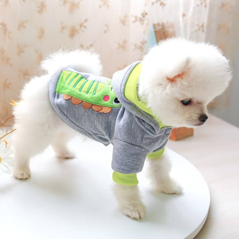 Chien avec un pull à capuche crocodile