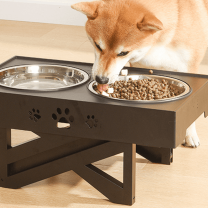 Chien qui mange dans notre mangeoire