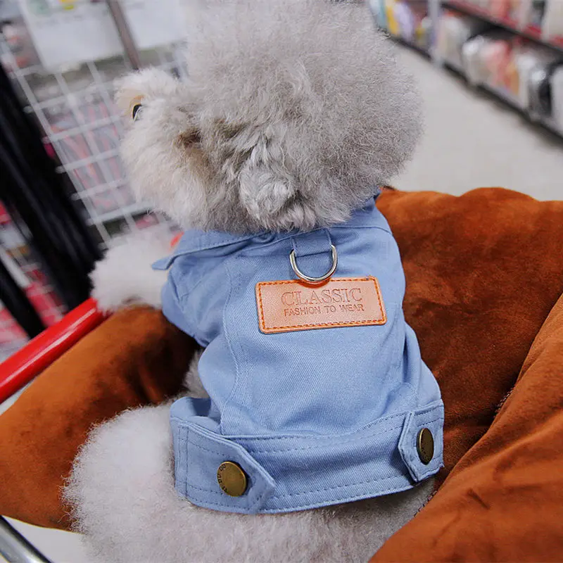 Chien avec notre veste Denim de printemps pour chien