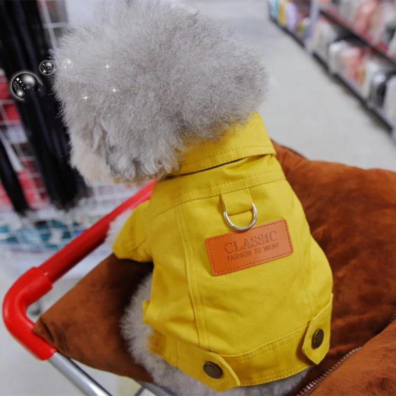 Chien avec notre veste jaune Denim de printemps pour chien