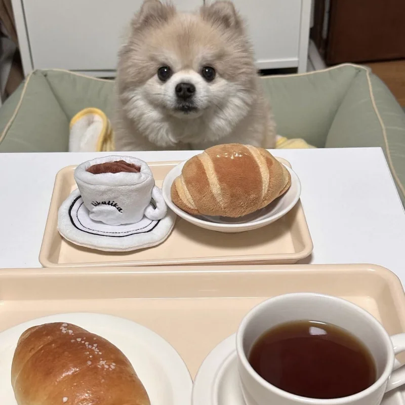 Peluche pour chien et chat : Edition petit déjeuner