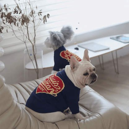 Pull LV pour chien