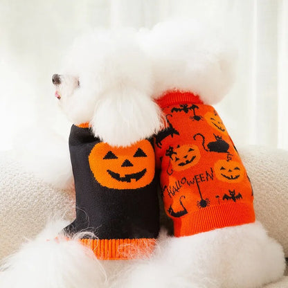 Chiens avec notre pull Halloween