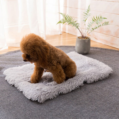 Chien sur notre tapis moelleux de couchage pour animaux