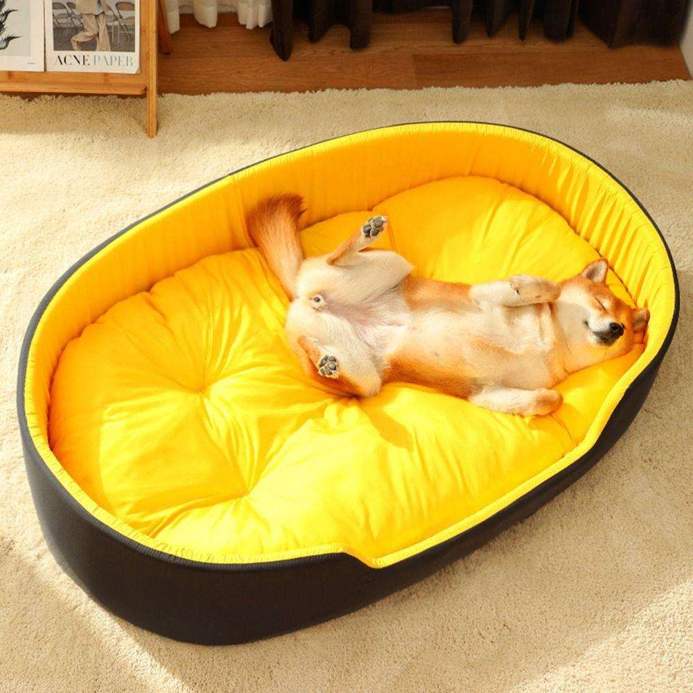 Chien sur notre panier sofa pour animaux