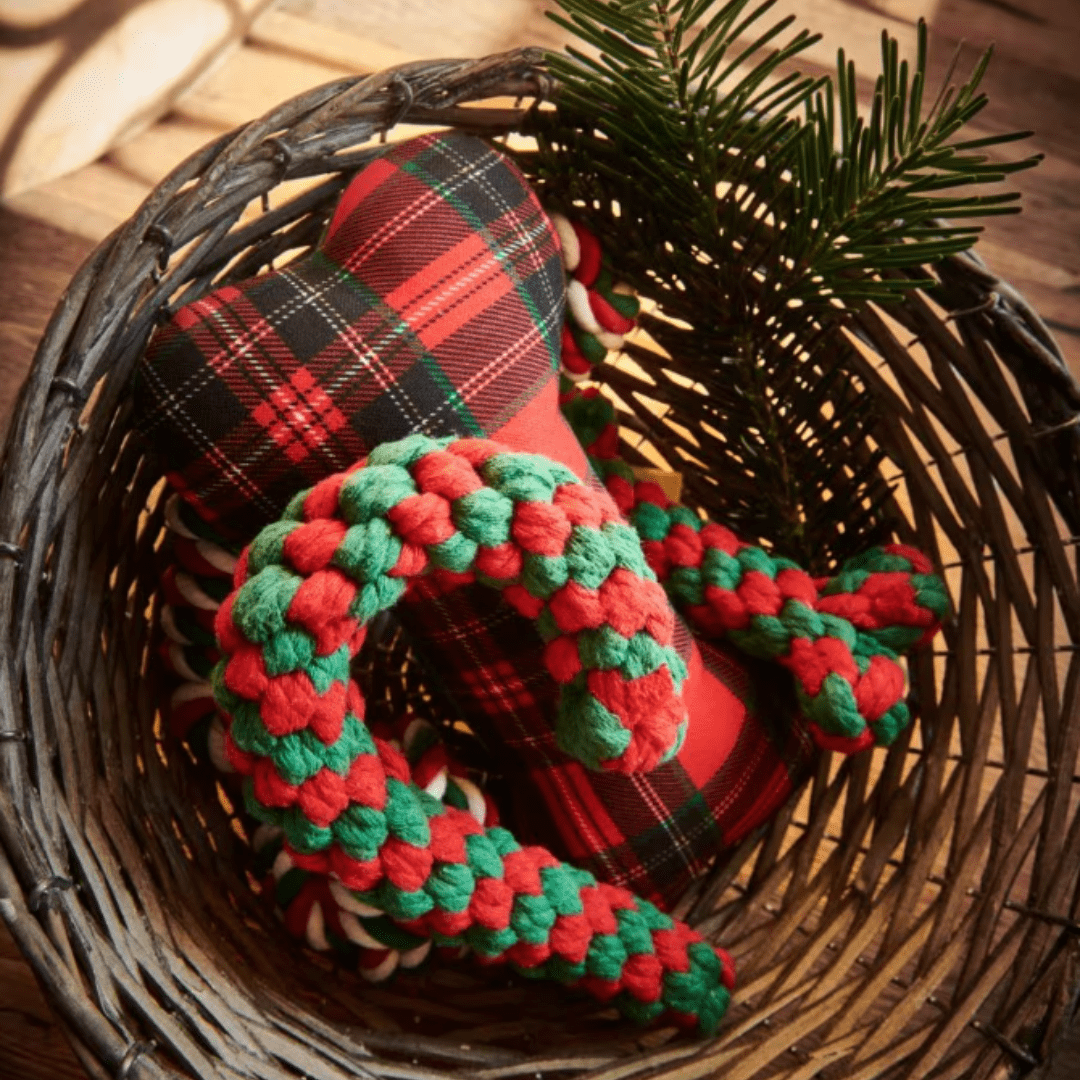 Lot de 3 Cordes à Mâcher pour Chien - Édition Christmas