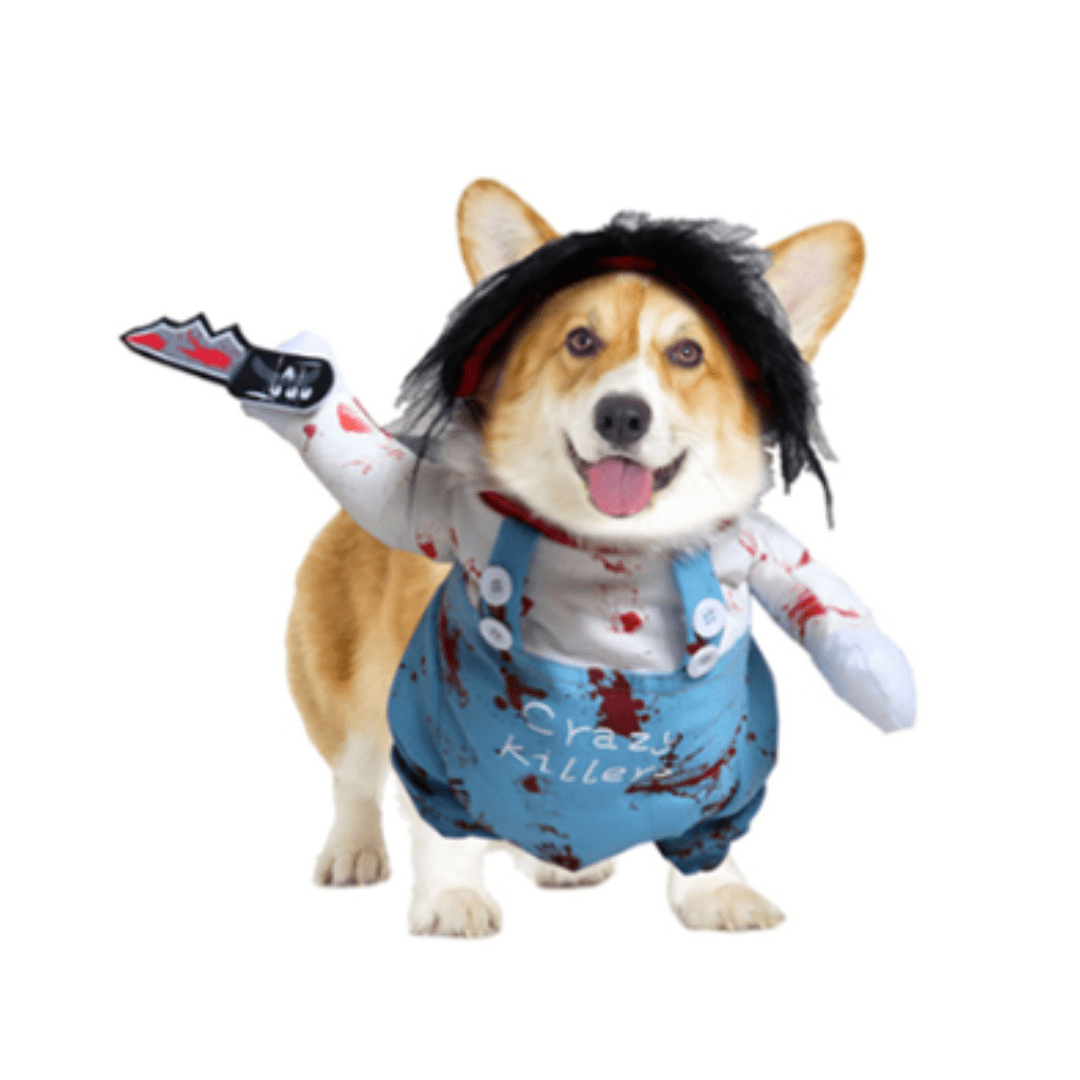 Déguisement de Chucky pour chat et chien