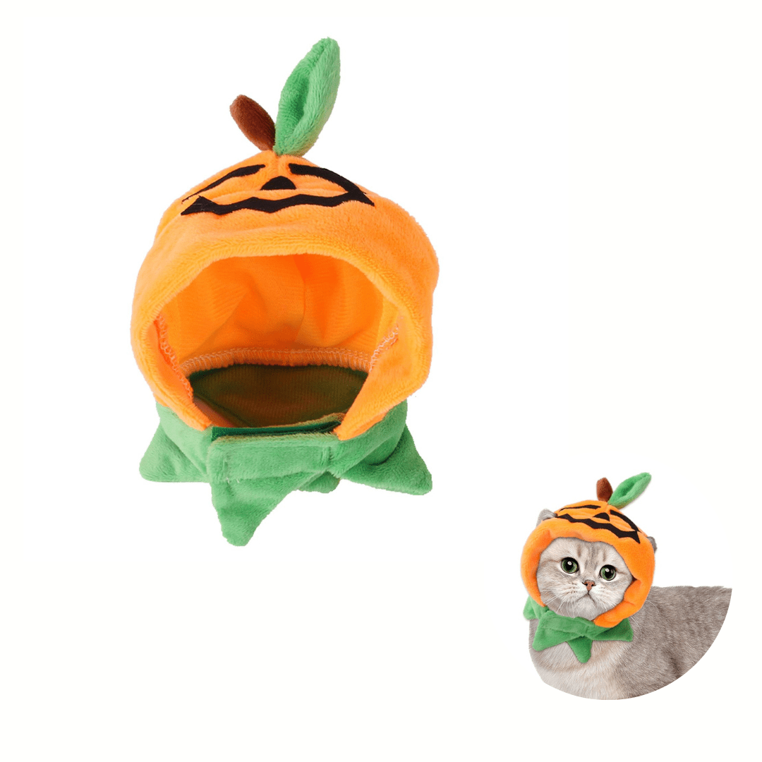 Déguisement de tête citrouille pour chat