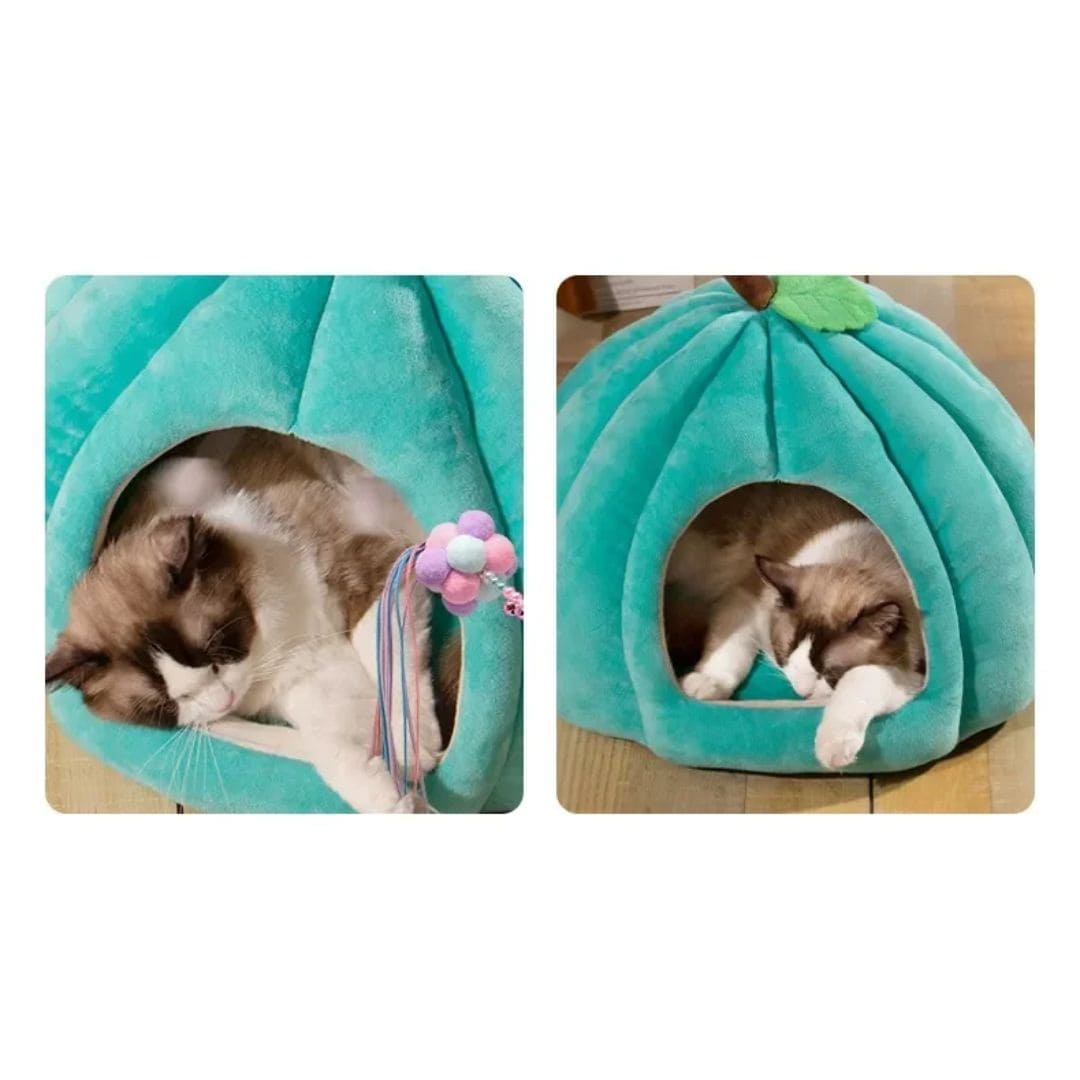 Surface antidérapante en dessous de notre couchage confortable citrouille pour chat