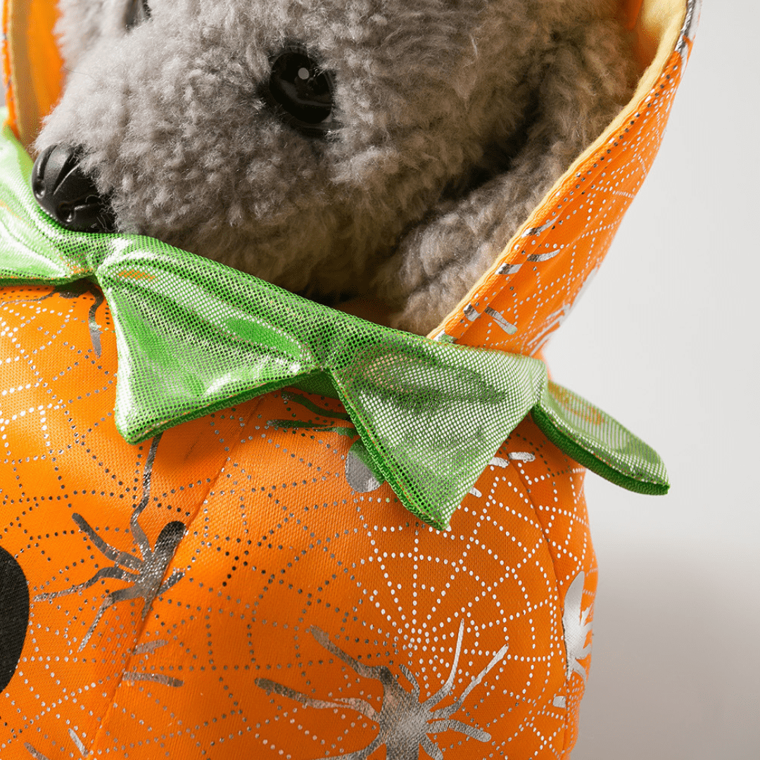 Déguisement citrouille pour chat et chien