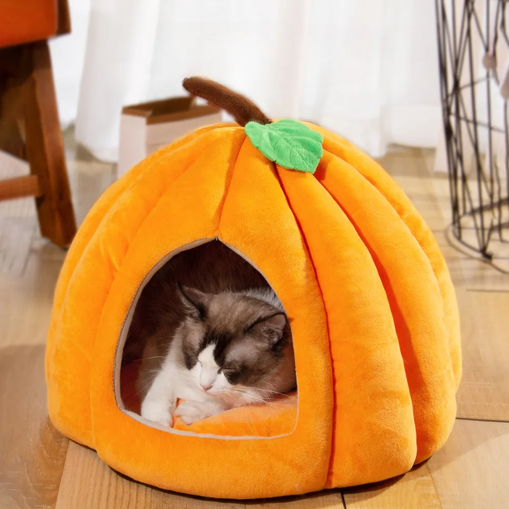 Couchage confortable citrouille orang pour chat