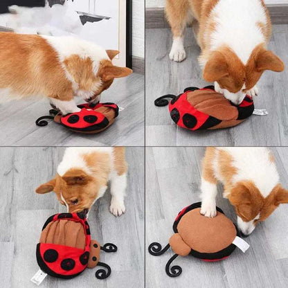 Chien qui joue avec notre jouet de fouille en forme de coccinelle