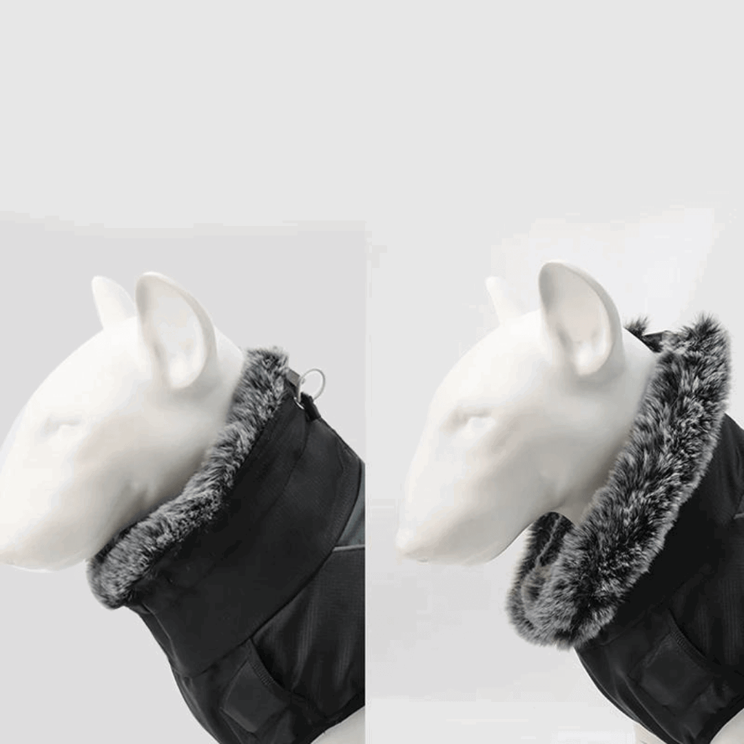 Col en fourrure de la veste imperméable pour chien