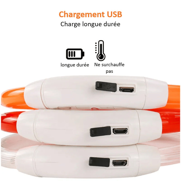 Recharge USB pratique de notre collier à LED pour chien