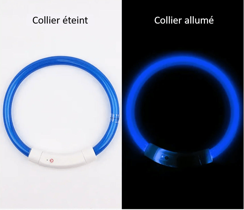 Collier à LED pour chien éteint et allumé