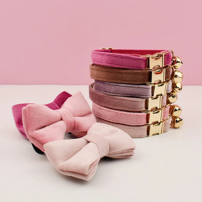 Collection de collier en velours avec noeud pour chat