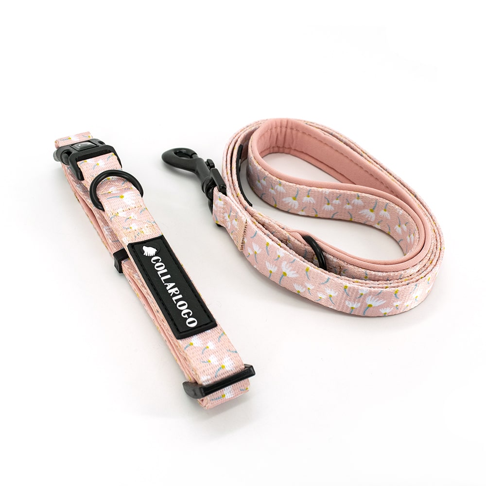 Gamme de collier et laisse rose pour petit chien