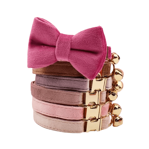 Lola™ : Collier en velours avec nœud pour chat
