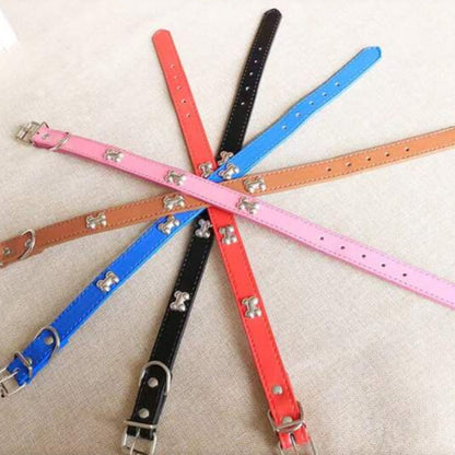 Gamme de collier à motifs os pour chien et chat