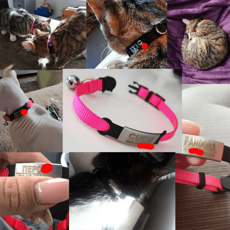  Collier personnalisable avec clochette pour chat