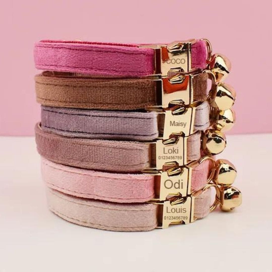 Collection de collier en velours pour chat