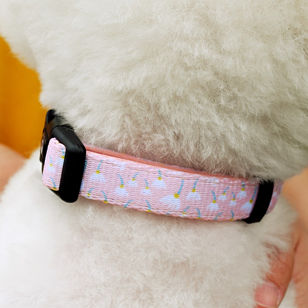 collier rose pour petit chien