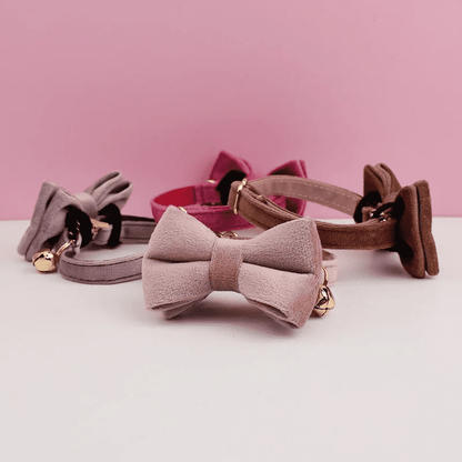 Collection de collier en velours avec nœud pour chat