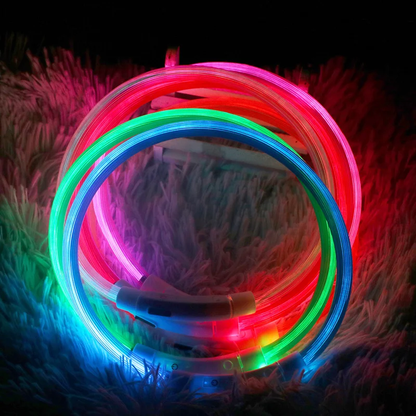 Gamme de couleur de notre collier à LED pour chien