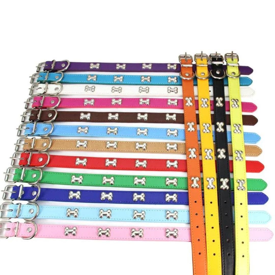 Différents coloris de notre collier à motifs os pour chien et chat