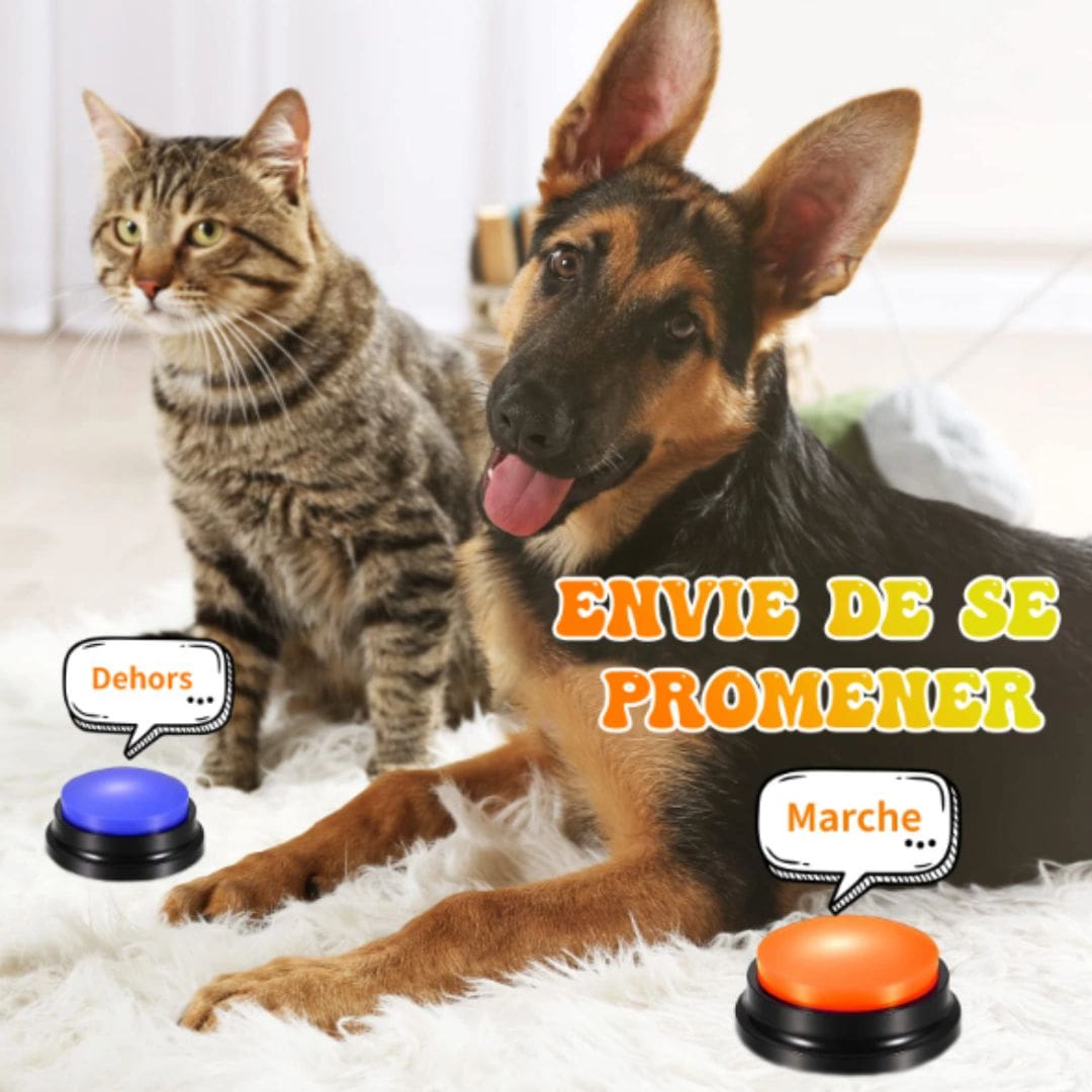 Communication animale grâce à notre buzzer pour chien
