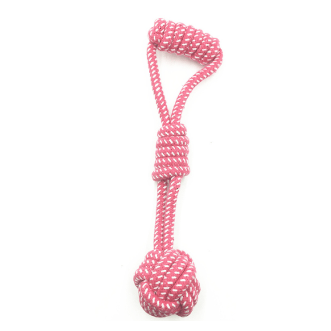 1ère corde rose à mâcher pour chien