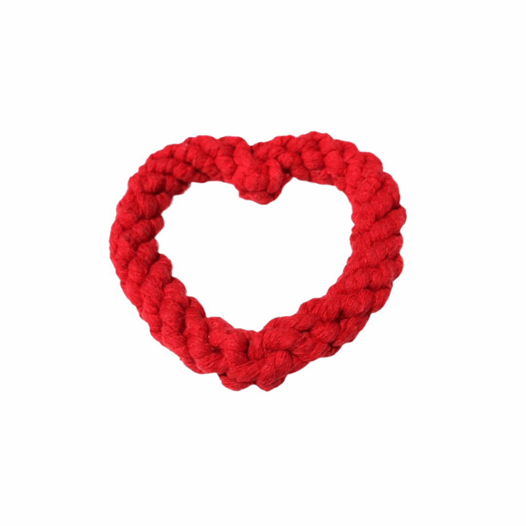 Coeur en corde à mâcher pour chien - édition christmas