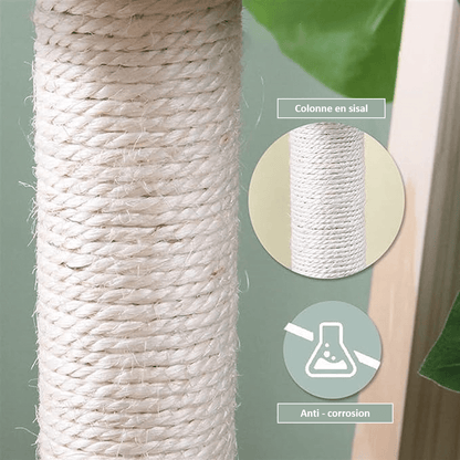colonne en sisal du petit arbre à chat