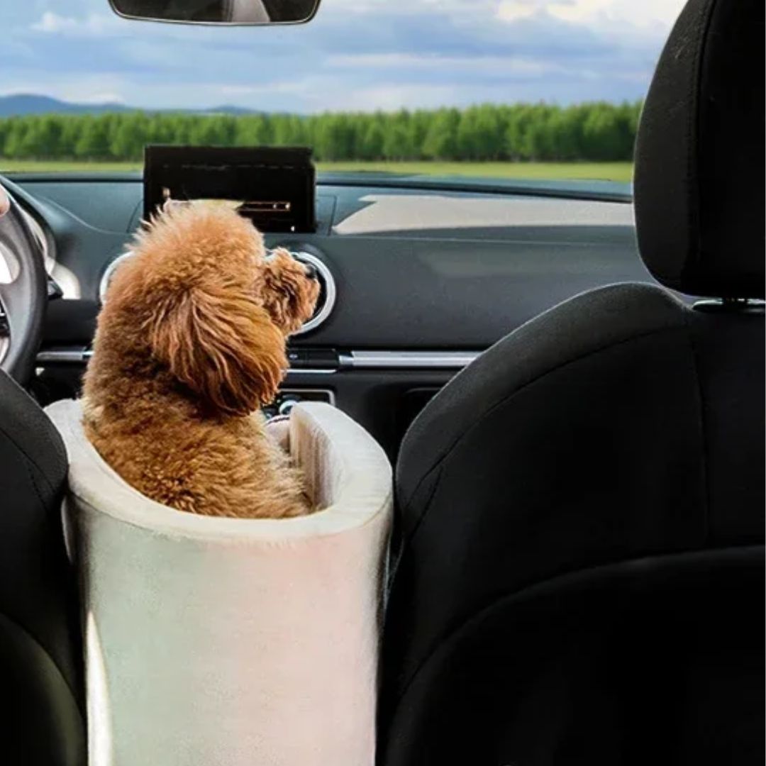 Couchage confortable de voyage pour petit chien et chat