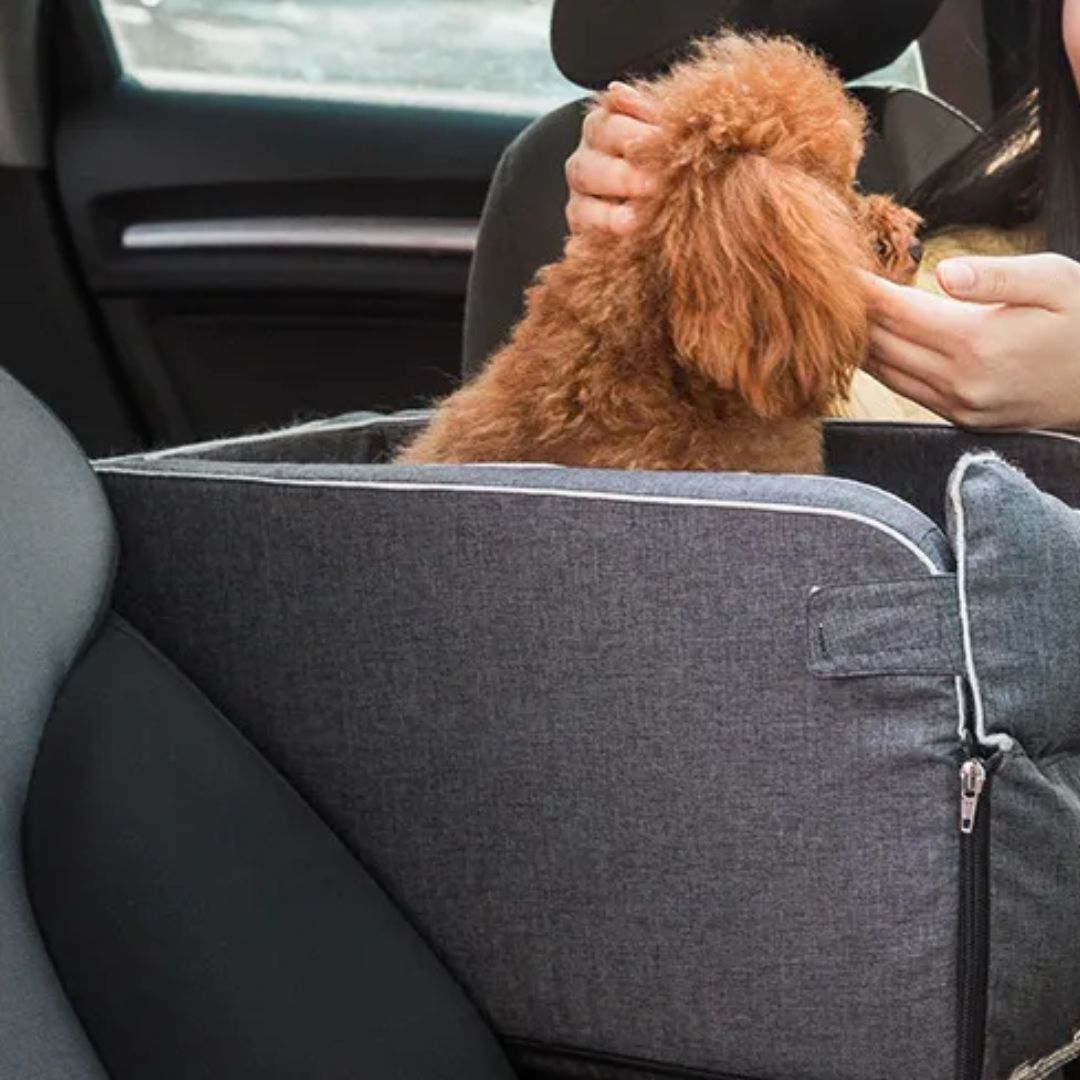 Couchage confortable de voyage pour petit chien et chat