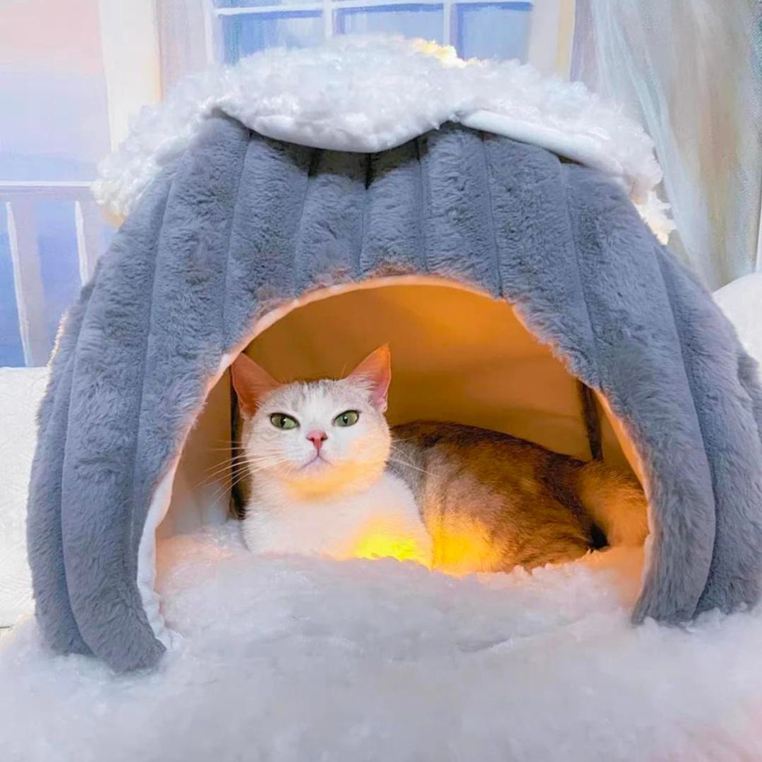 Couchage hivernal et doux pour chat